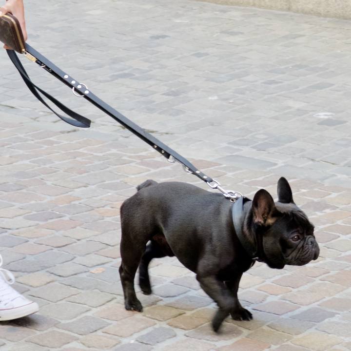 13899241 a8e3 4915 afb8 5f867187f6f5