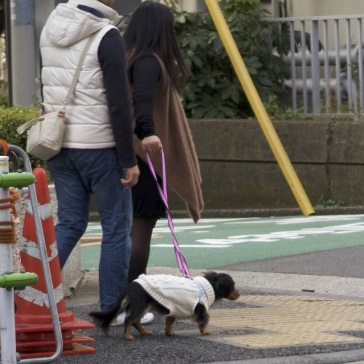 1389aa4c 6c66 493c b146 287f426fa448