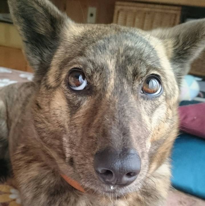 1389d7ae c057 442d a649 67055c13a3f2