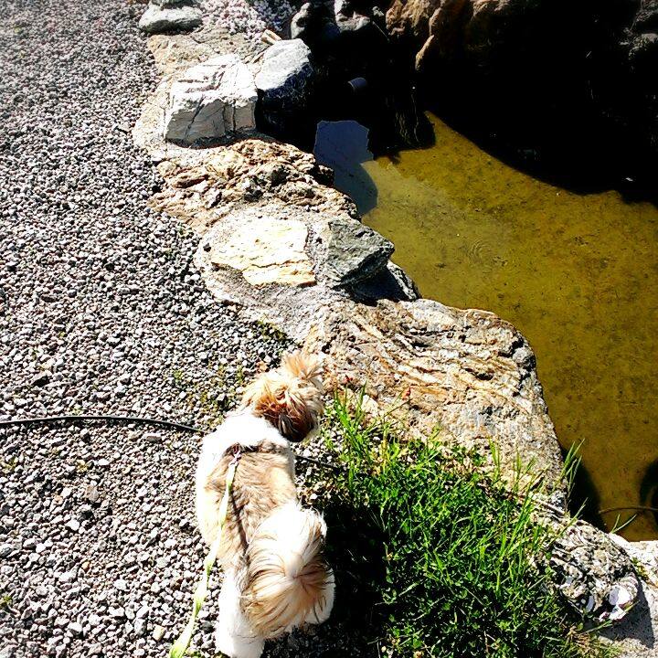 1389d948 79ee 4ef1 92d4 2a4a94b0521e