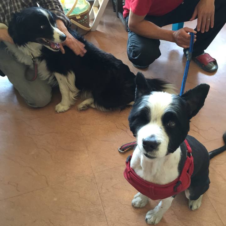 138acc56 26cb 4c20 bf4f c1602534f869