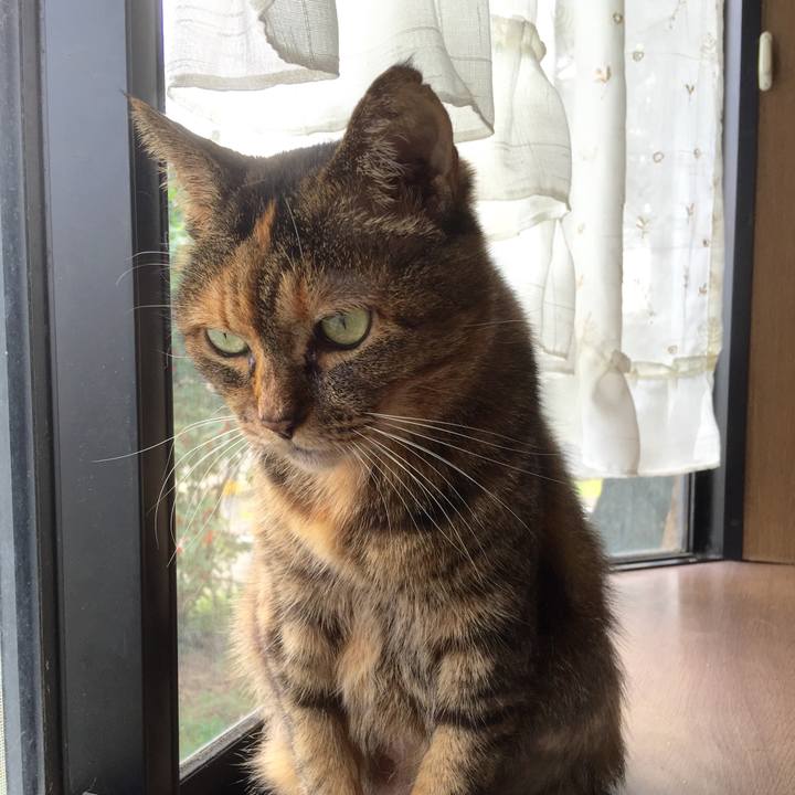 138b98eb c5e6 4f2b b13c 254977ebc0ef