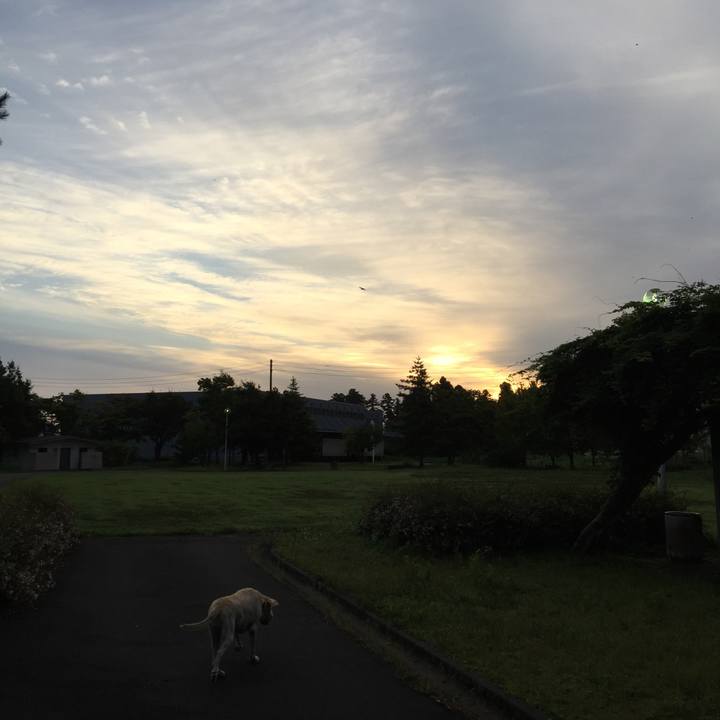 138bcb17 6935 4fdc bb7f 22c136836299