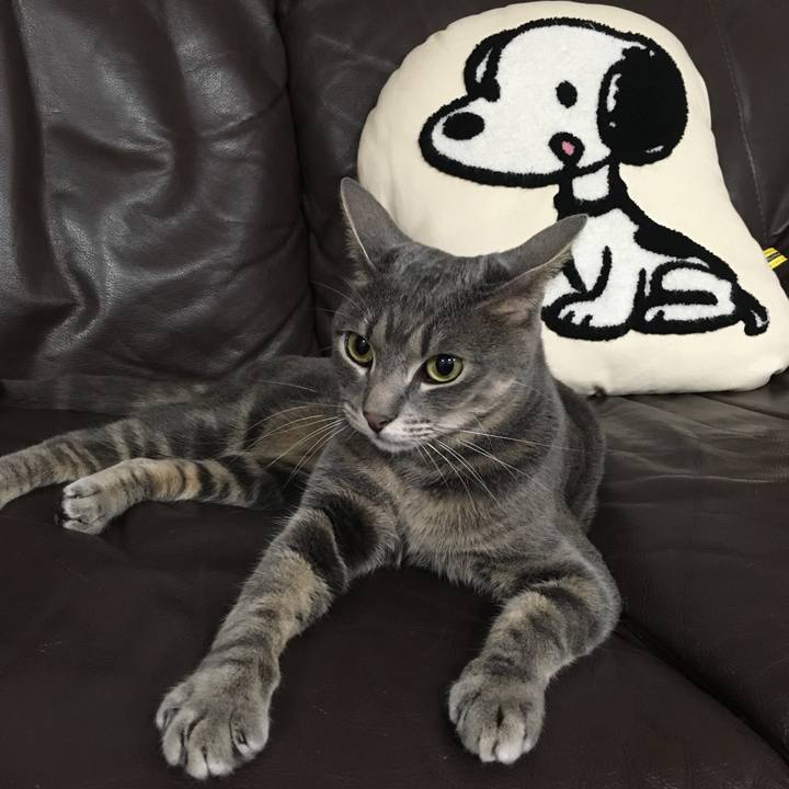 138bd278 5f8e 4253 98ae d108799df96b