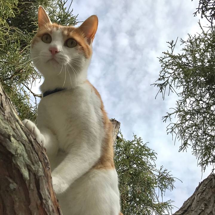 138cded6 fc61 4b59 8b9d c208f3b275fd