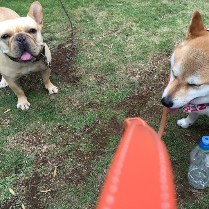 138d4f38 b09e 4134 ae3a 8608807294b4