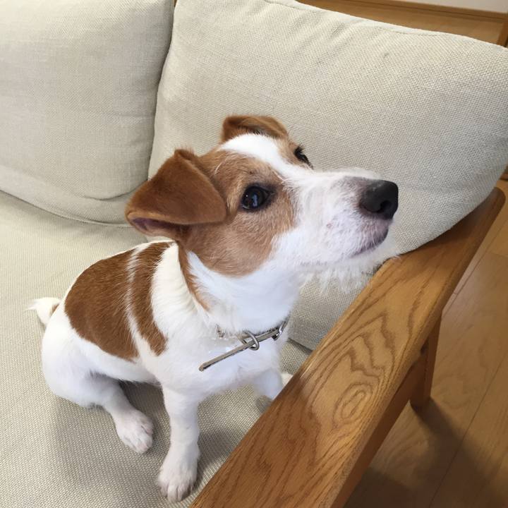 138d6eaa a560 47a2 aa96 a4539f9932f4