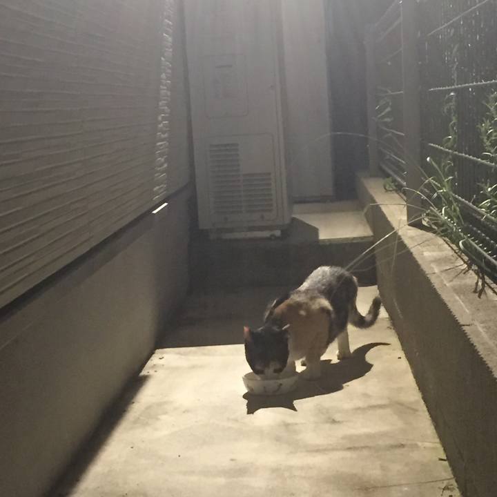 138d7f37 4f96 4c30 88a9 03bca2672077