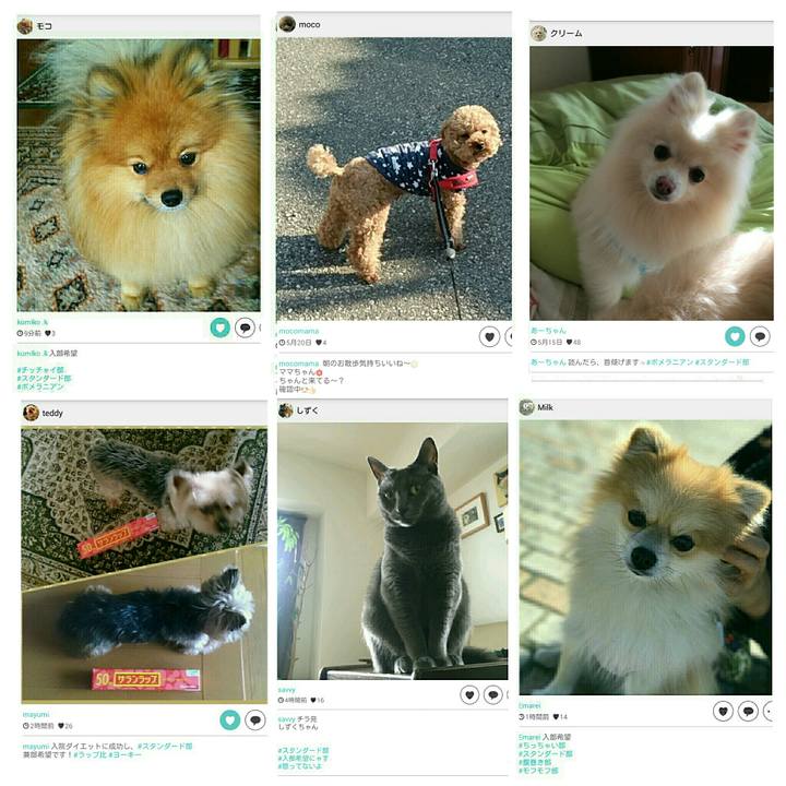 138e37f7 566f 427d b463 8a6d08157cc4