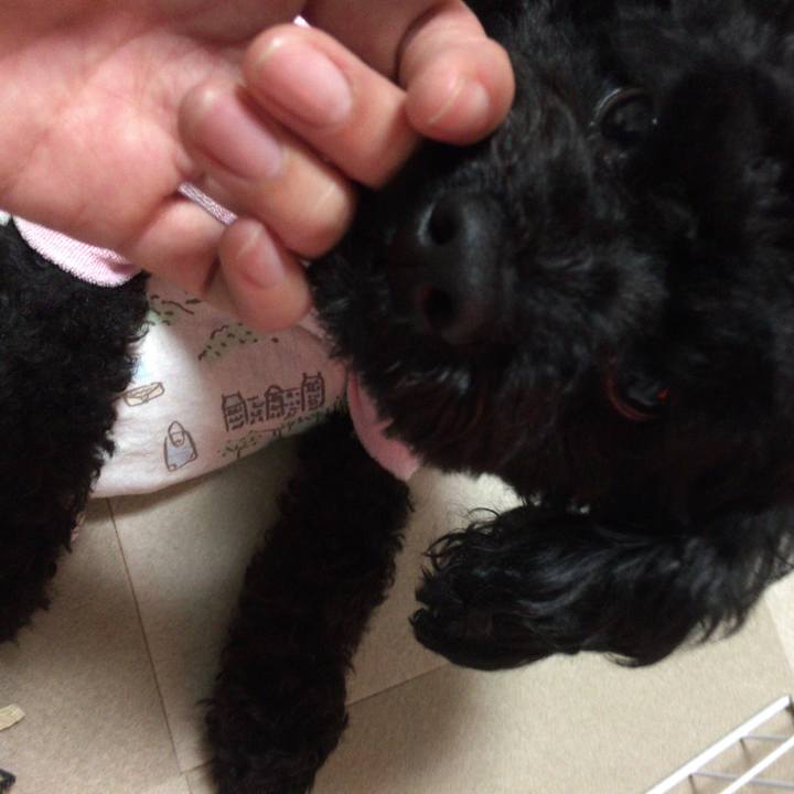 138e5a49 45a9 4f63 86ec a8cb40c06502