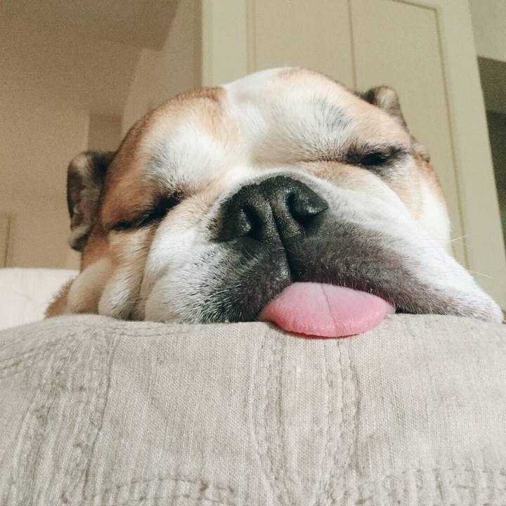 138e8465 70bf 4a50 ad9d 1245f0576ae1