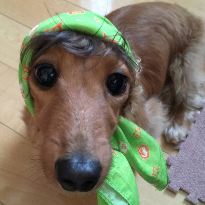 138ed7d3 3e66 4881 9177 79efb73c4e8c