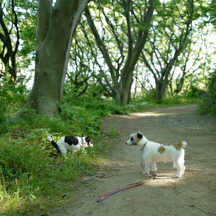 138f72ea 965c 4a38 9356 8c361ce01caf