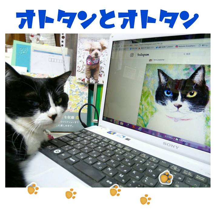 138f7324 f8b2 42a7 84fe bb2926dfe769