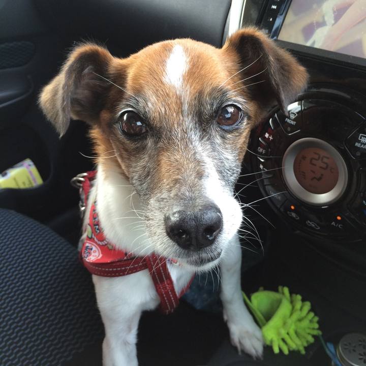 138f95b6 fb67 4484 b82c babc565ff2e3