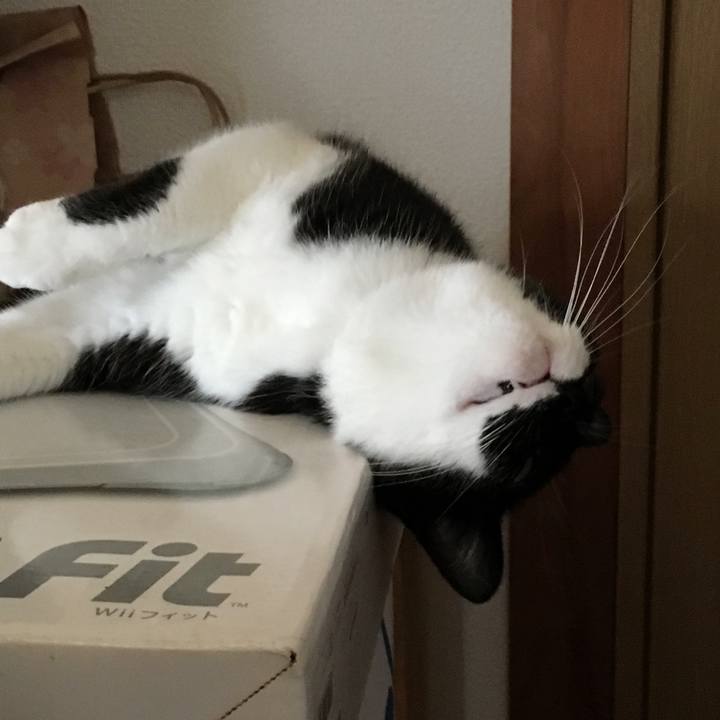 138fe166 5129 44d1 8adb dfa9f1c702c0