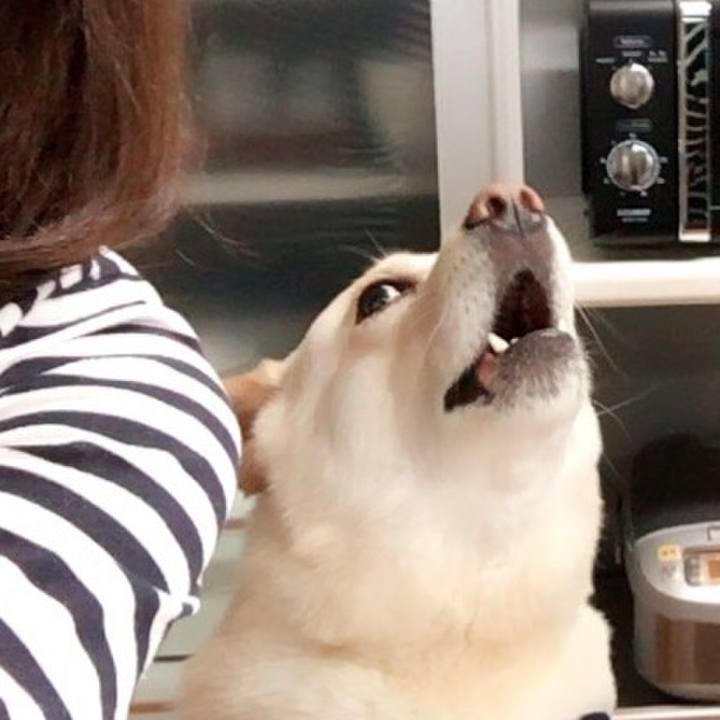 13908b09 ffc3 4c32 a6a5 cb017675e49a