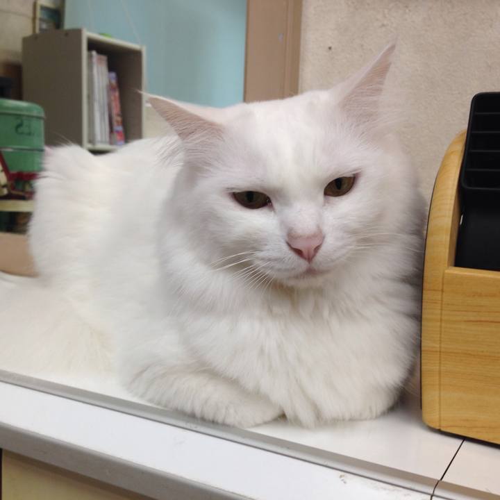 1390e9b8 99a2 4392 be62 7daab7b0f24e