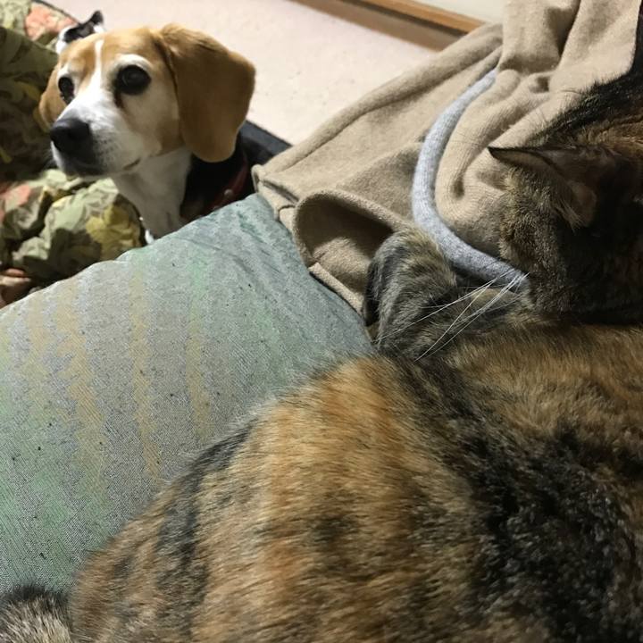 1391029d 1fb3 4dec a5e6 ab752dab2b7b