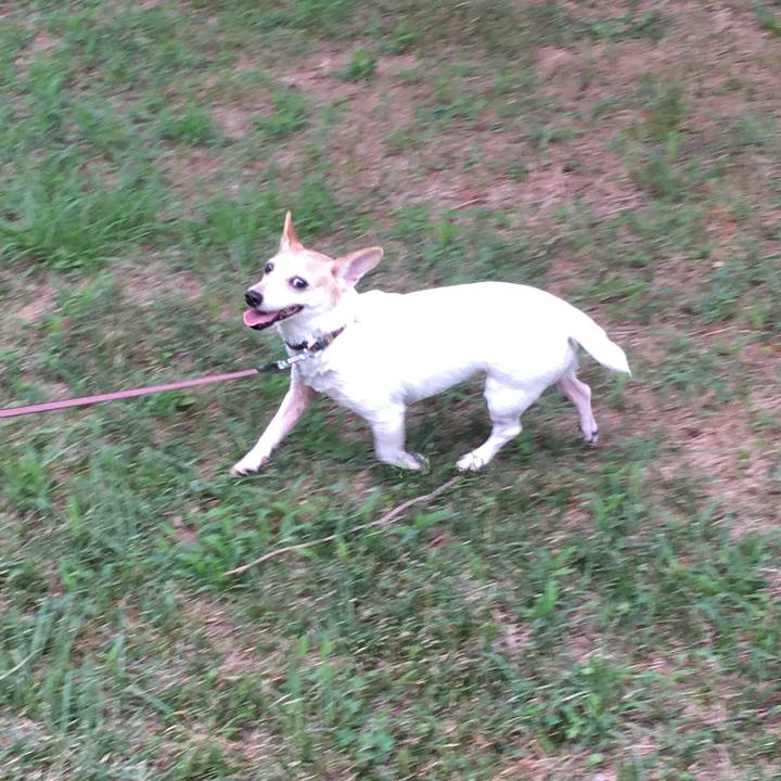 1391812c 3ce3 41d7 94dc 2d85b117b3f6