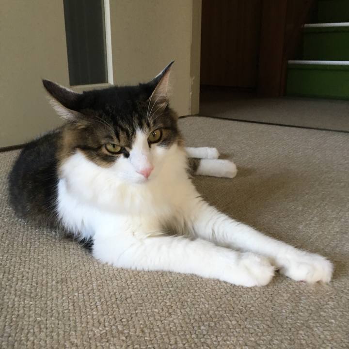 13919495 b668 4dbf b06e 5aa6eae1944a