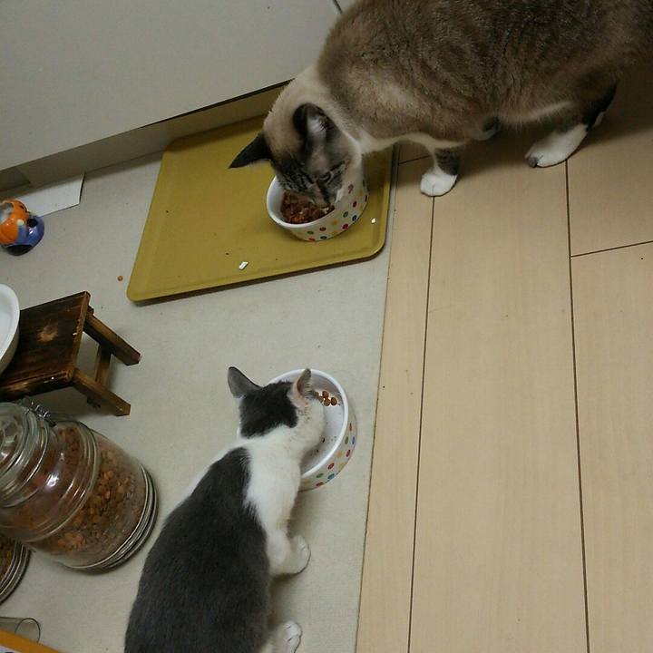 1391a333 5f9e 4a82 a4aa 2ee56ae93380