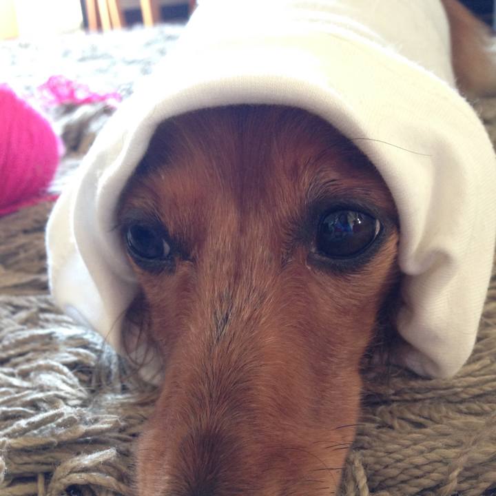 1392296f 0052 4acb 825c d5760e7ca849