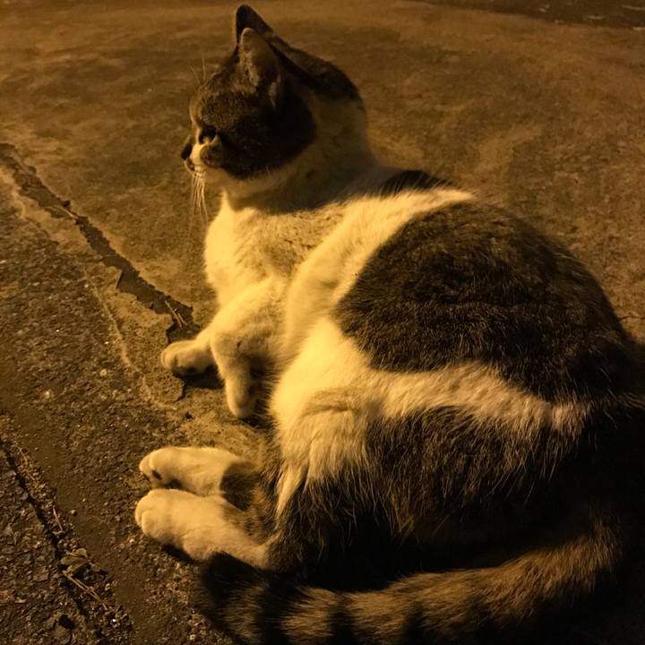 13923778 c4a9 4642 b89a de29694426fe