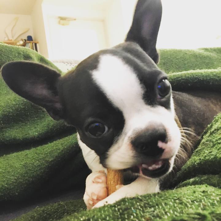 1392cc29 be92 497a 88e8 65759e216118