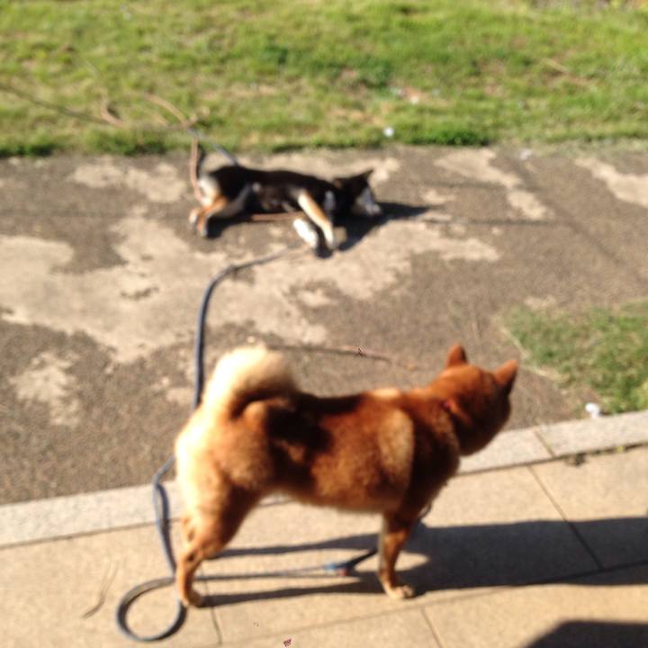 1394620f 78e8 4127 a26e 6b6e2fef75ec