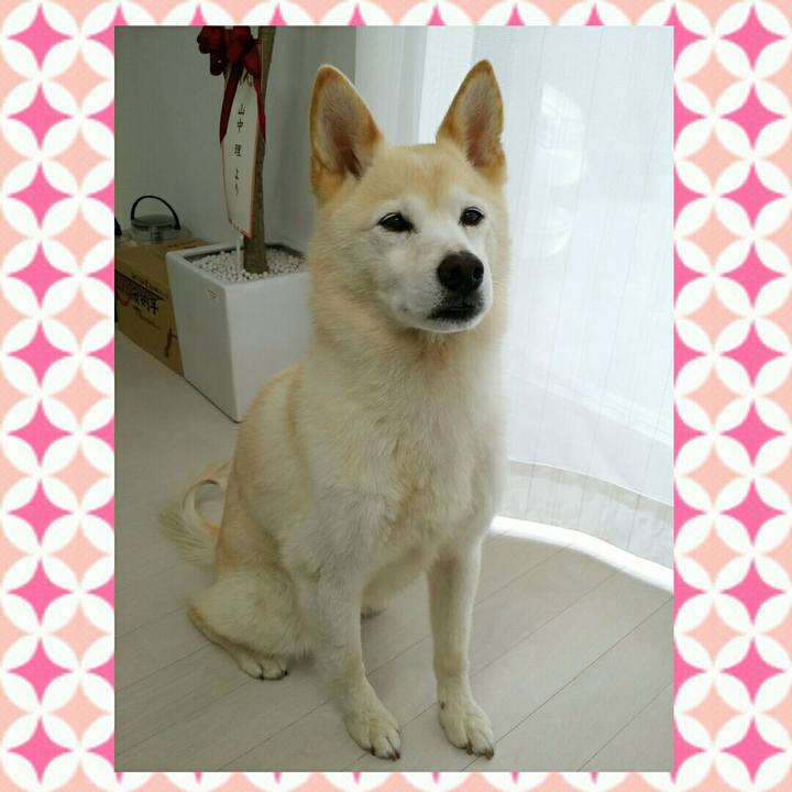 13949ccb ca0c 4401 a854 9322aa195008