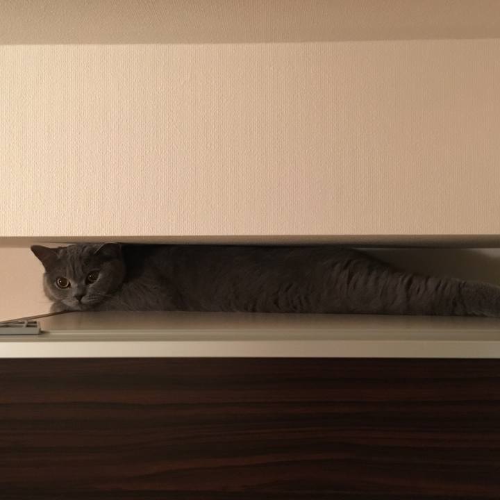 1394a1b6 681e 4b2d bd94 3e0a3d19b080