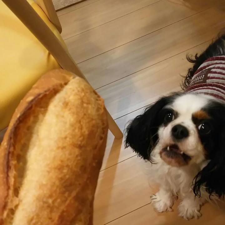 1394bab1 dcf2 4b65 9c71 cc2d2b329e5a