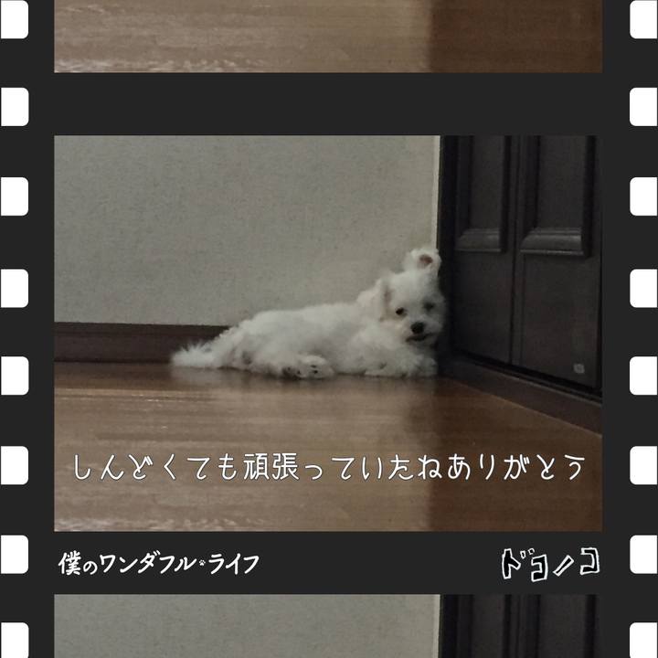 1394ce4e abcd 4165 8562 a1fb8741d648