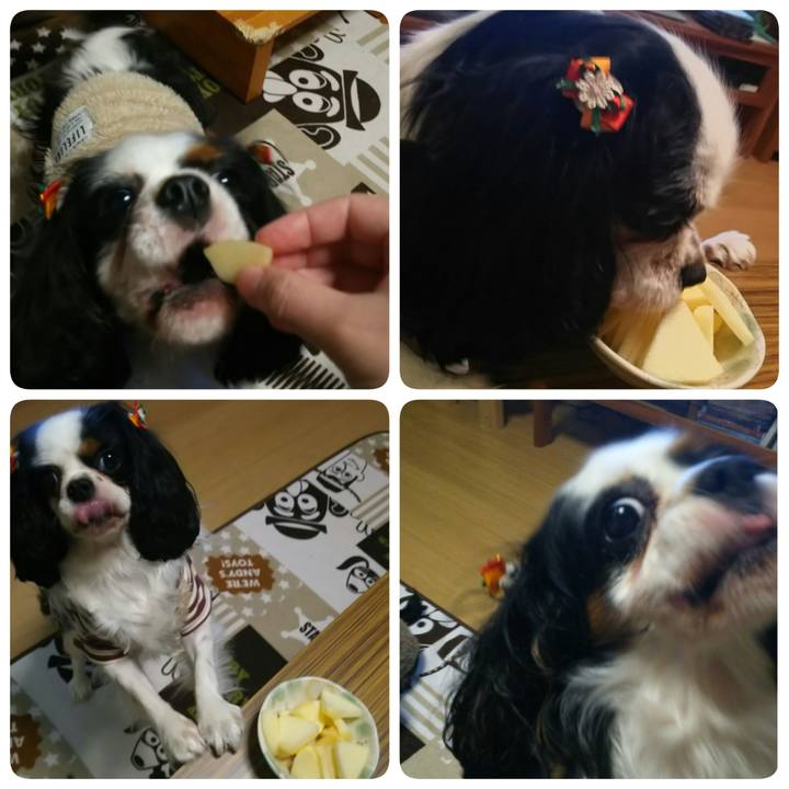 13952c50 9006 4438 9eda ccd6f7dc578b