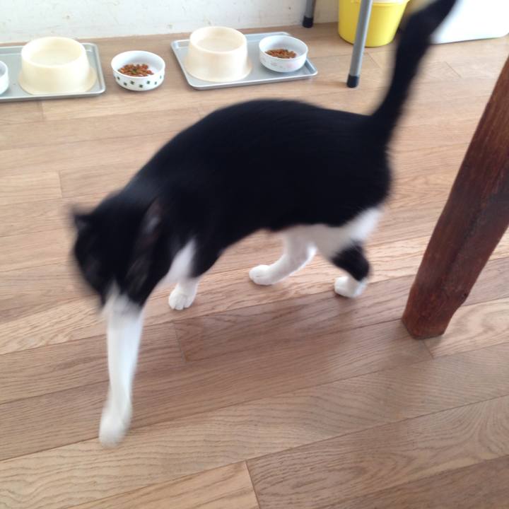 1395ea1d 63b1 49e5 9a9b 41c63452e5bf