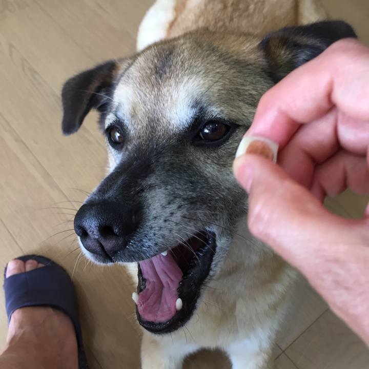 1395fae1 9c6d 4348 8613 724cde8bb309