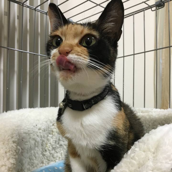 1397a9de 130a 4995 aa3f 1d2038411889