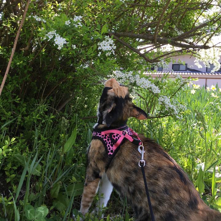 1397b795 8f71 4821 a4c2 8f38112bc9d6