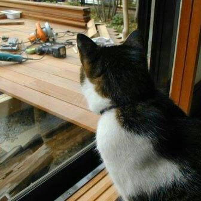 13981bea 6f5f 49b6 b2ba b2a077ec344b