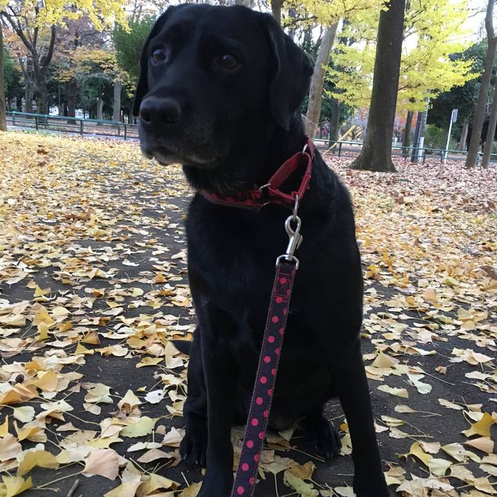 13983cbb 8752 4326 8cdf f38d28522df5