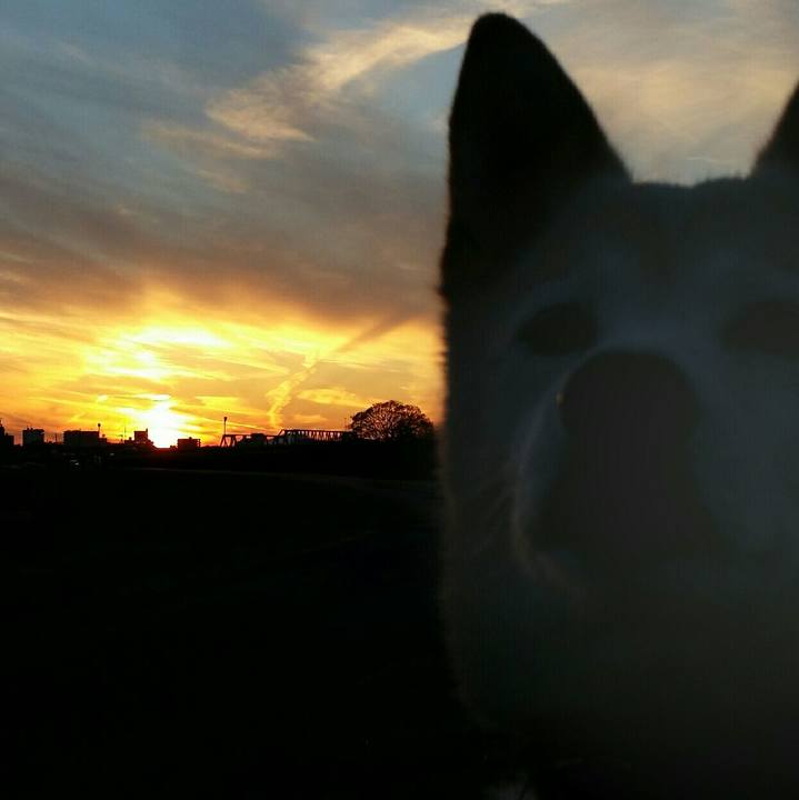 1398700c 92e5 444e bcac 52cc8b6e4719