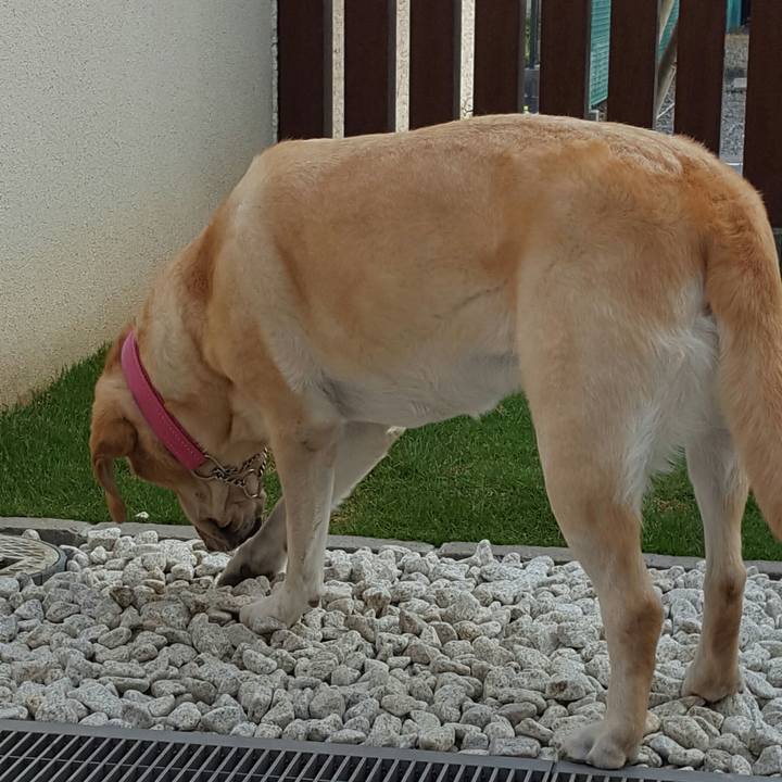 1398f71b 2f9b 4b3f b17f e6905d2343cd