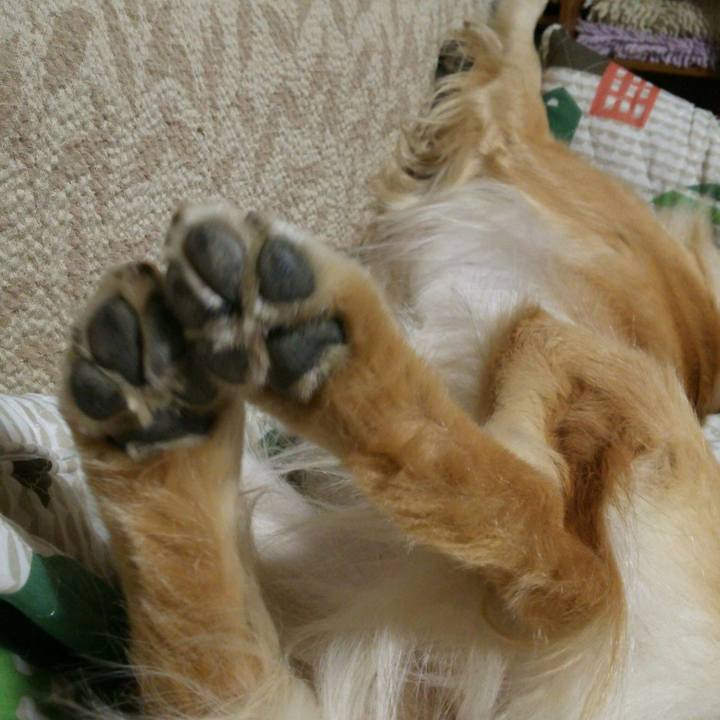 13995772 2e5e 4cf4 8200 2e084a6e440c