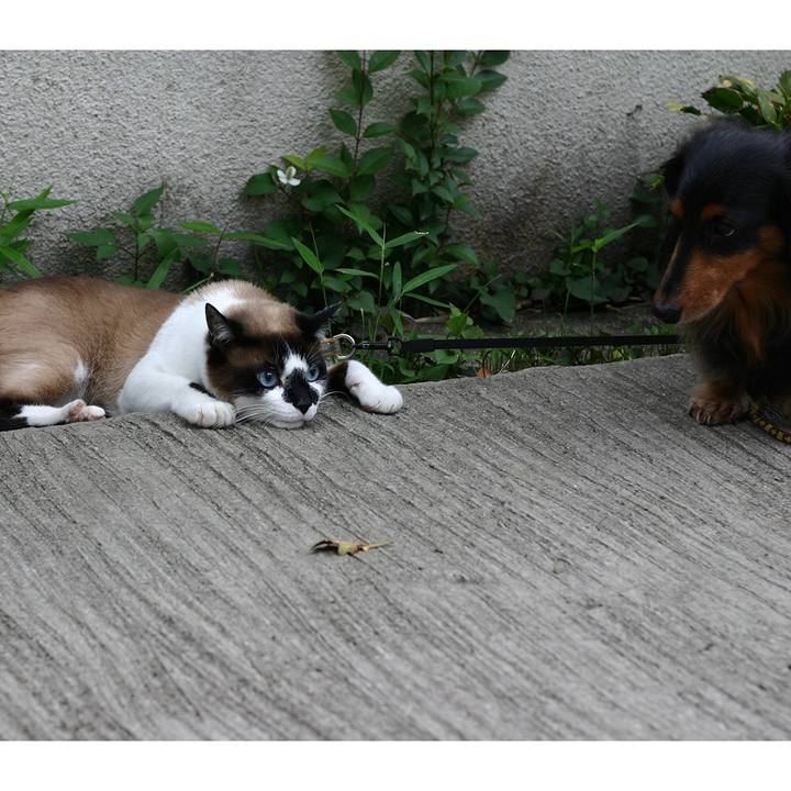 139982ee 9099 4c17 9b11 cbdb5a7dfb75