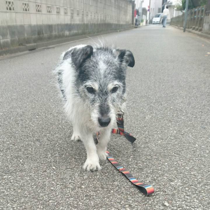 139a623b 9871 41cc 9013 9a7154bd7781