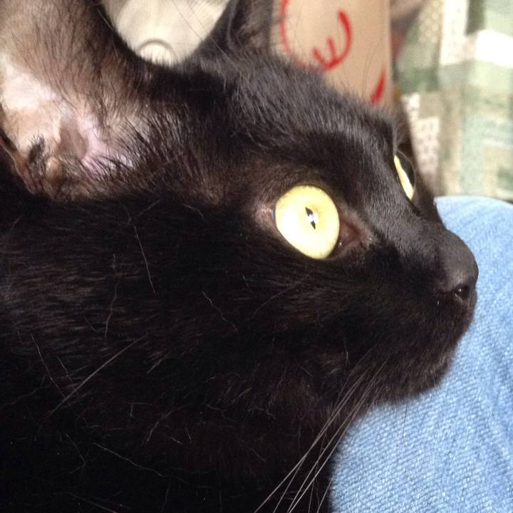 139caf57 9451 4eae ae99 a254b90e4041