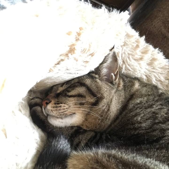 139d90cf 7e5d 4f7c b89a 133dad3dc018