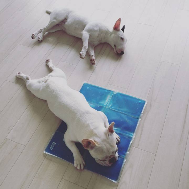 139dd9f5 5f87 45ed b972 db1158643bda