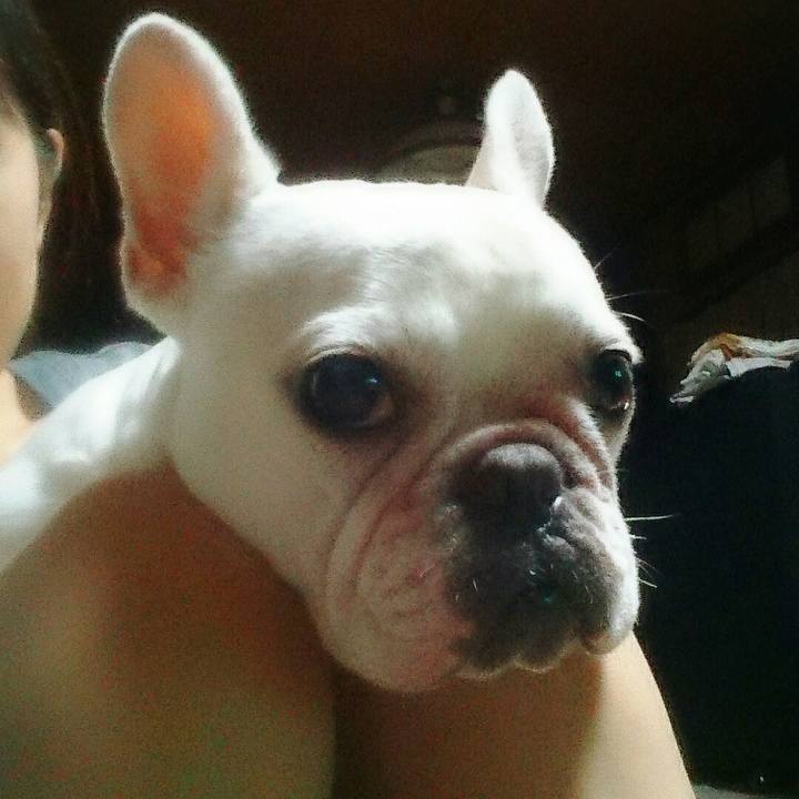 139de12b 14df 491e 99ac f5e8cc3d4e16